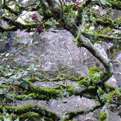 El Torcal bei Nebel Im Winter